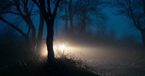 A dimly lit road at night, with a car's headlights illuminating the fog and silhouetted trees.