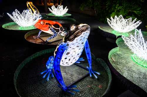 Colorful illuminated frogs sit on lily pads, surrounded by glowing lotus flowers in a dark setting.