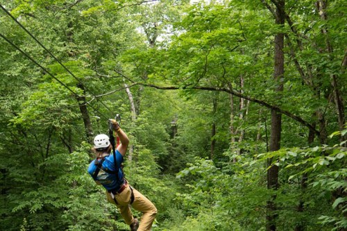 A person in a helmet zip-lining through a lush green forest, surrounded by trees.