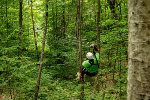 A person in a green shirt zip-lining through a lush green forest, surrounded by tall trees.