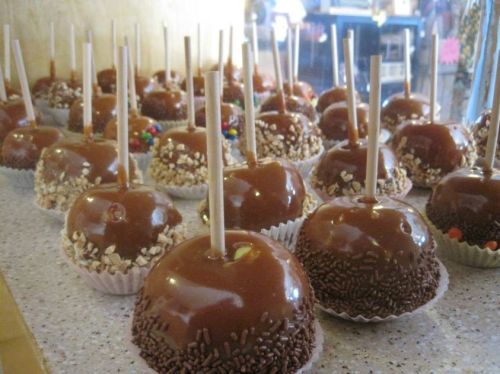 A display of caramel apples with various toppings, including nuts and sprinkles, on a countertop.