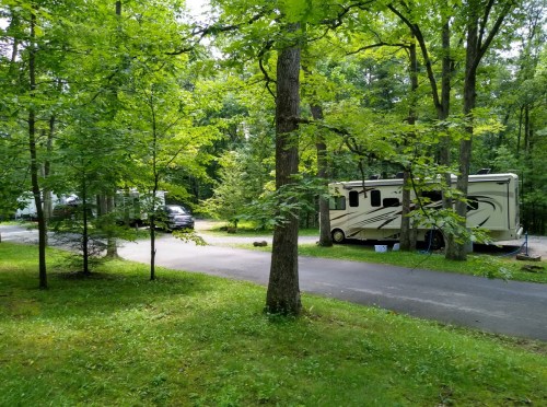 A serene campsite with an RV parked among lush green trees and a winding road.