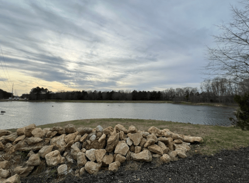 A serene lakeside view with a rocky foreground, trees lining the shore, and a cloudy sky above.