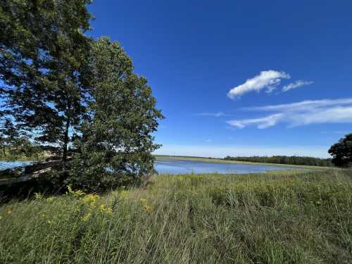 A serene landscape featuring a calm lake, lush green grass, and trees under a clear blue sky with a few clouds.