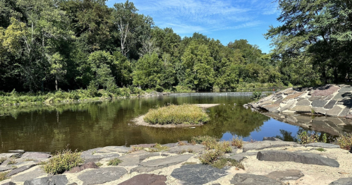 A serene river scene with lush greenery, a small island, and rocky banks under a clear blue sky.