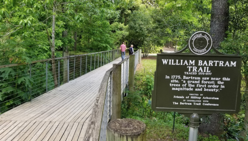 A wooden bridge over a lush green area, with a sign about the William Bartram Trail in the foreground.