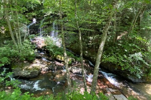 A serene forest scene featuring a small waterfall cascading over rocks, surrounded by lush green trees.