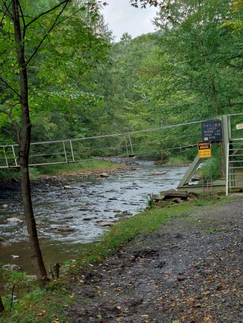 A serene river scene with a warning sign and a bridge in a lush, green forested area.