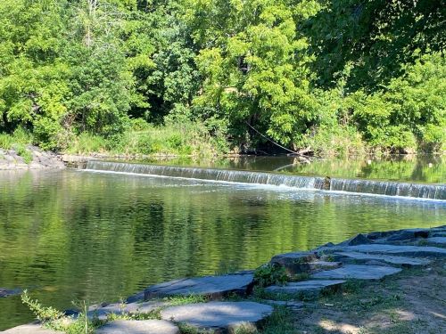 A serene river scene with a small waterfall, surrounded by lush green trees and a rocky shoreline.