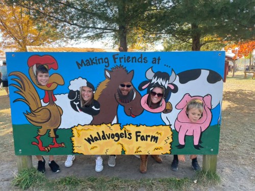 A colorful farm-themed cutout with five people posing as animals, smiling at Waldvogel's Farm.