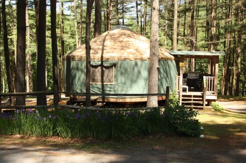 A green yurt surrounded by trees, with a porch and flowers in front, set in a peaceful forested area.