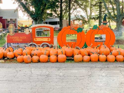 A pumpkin patch display featuring a train, large pumpkins, and decorative pumpkin cutouts in a rural setting.