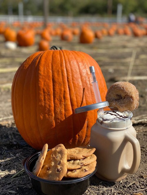 A large orange pumpkin beside a jar of milkshake topped with a donut and a plate of chocolate chip cookies.