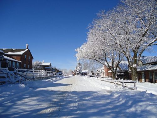 A snowy street lined with trees and buildings under a clear blue sky, creating a serene winter scene.