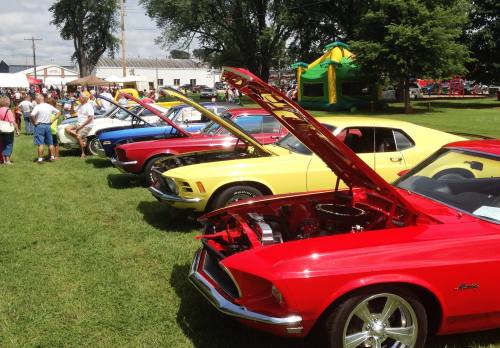 A row of classic cars with hoods open, displayed on grass at a community event, with people in the background.