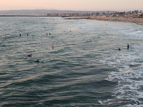 Surfers in the ocean at sunset, with a beach and palm trees in the background. Waves gently roll onto the shore.