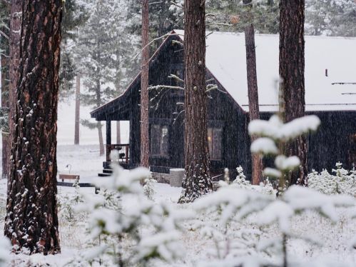 A cozy cabin surrounded by snow-covered trees in a winter landscape. Snowflakes gently fall from the sky.
