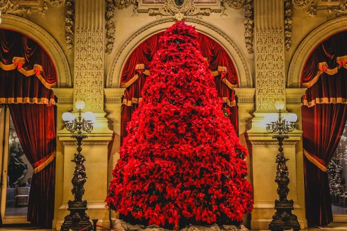 A large, vibrant red Christmas tree adorned with poinsettias, set against ornate walls and rich curtains.