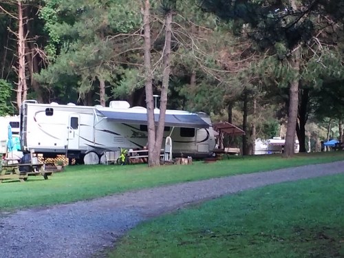 A camper parked in a wooded area, surrounded by trees and picnic tables along a gravel path.