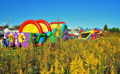 Colorful inflatable bounce houses set up in a field of yellow flowers under a clear blue sky.