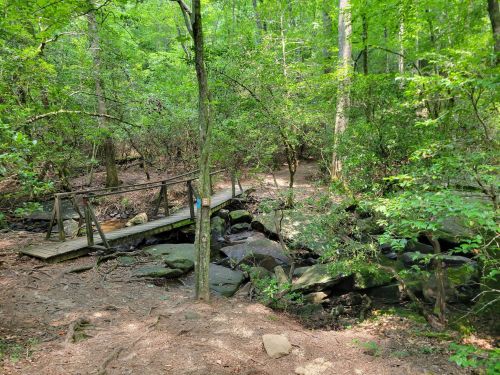 A wooden bridge crosses a rocky stream in a lush, green forest. Sunlight filters through the trees.