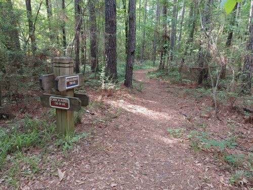 A wooded trail with a signpost indicating the path to "Chickadee Trail" amidst lush greenery.