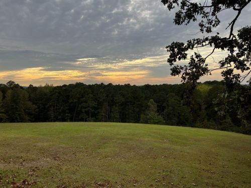 A serene landscape featuring a grassy field with trees and a cloudy sky at sunset.
