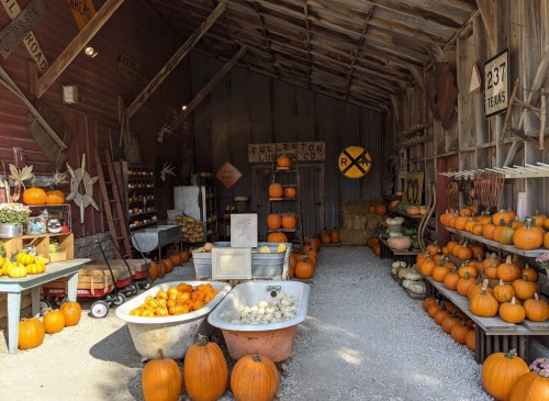 A rustic barn filled with pumpkins, gourds, and decorative items, creating a cozy autumn atmosphere.