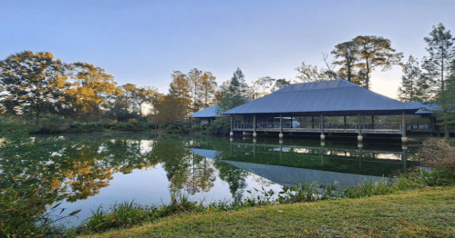 A serene pond reflects a modern building surrounded by trees and greenery under a clear blue sky.