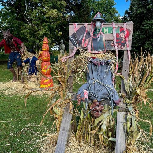 A festive autumn scene featuring scarecrows, pumpkins, and hay bales in a grassy field.