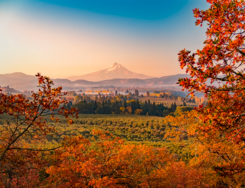 A scenic view of a mountain surrounded by vibrant autumn foliage and rolling hills at sunset.