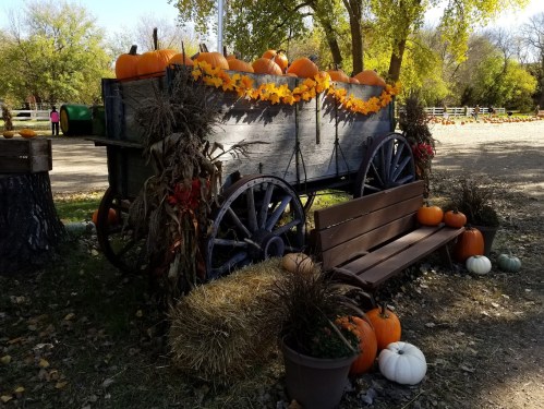 A rustic wagon decorated with pumpkins and autumn leaves, surrounded by hay bales and a wooden bench in a fall setting.