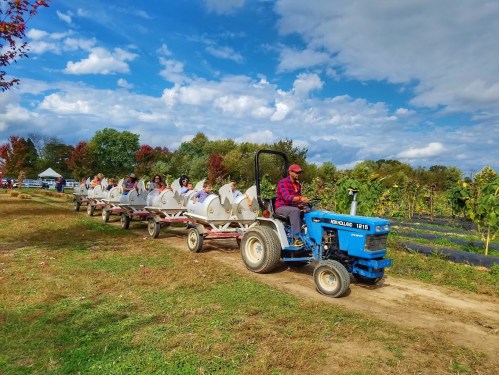 A blue tractor pulls a trailer with people through a farm, surrounded by trees and a cloudy sky.