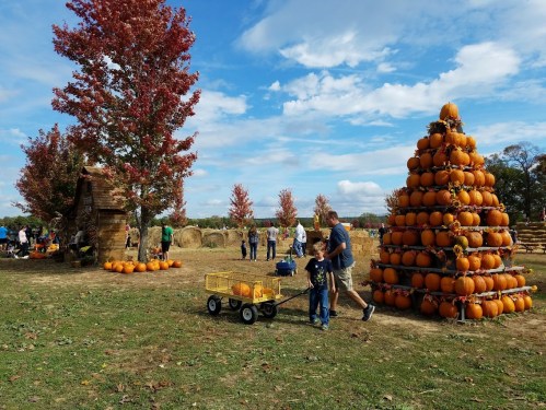 A family-friendly pumpkin patch with a child pulling a wagon, surrounded by pumpkins and colorful autumn trees.