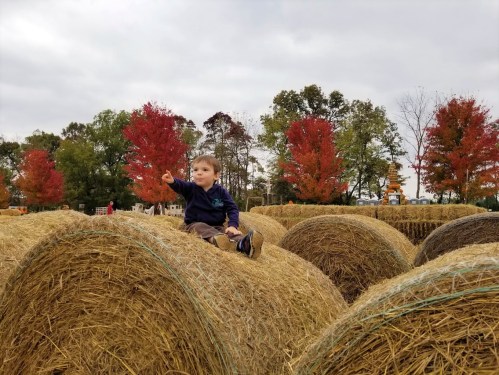 A young child sits on a hay bale, pointing, surrounded by autumn trees with colorful leaves.