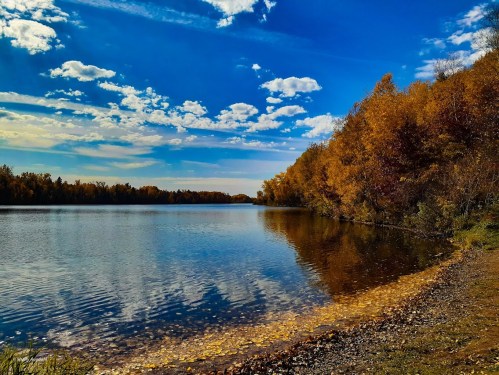 A serene lake surrounded by vibrant autumn trees under a blue sky with fluffy clouds, reflecting on the water's surface.