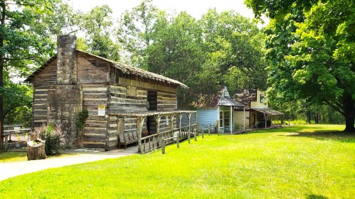 A rustic wooden cabin and a small blue house surrounded by lush green trees and grass on a sunny day.