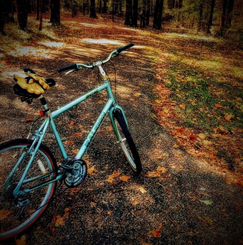 A teal bicycle rests on a gravel path surrounded by autumn leaves and trees in a wooded area.