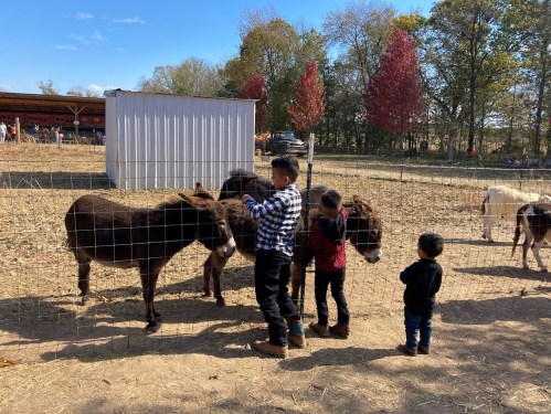 Three children interact with donkeys at a farm, surrounded by trees with autumn foliage. A barn is in the background.