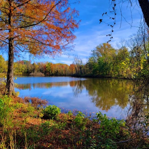 A serene lake surrounded by autumn trees, reflecting colorful foliage under a clear blue sky.
