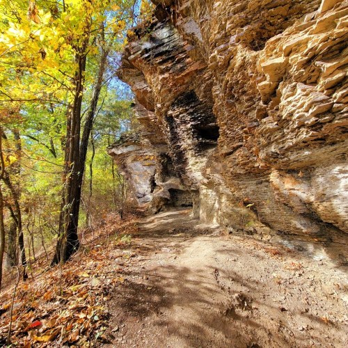 A rocky cliffside surrounded by trees with autumn leaves, featuring a dirt path leading into a cave-like opening.