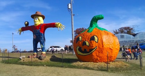 A large scarecrow stands next to a giant, smiling pumpkin in a sunny outdoor setting with people in the background.