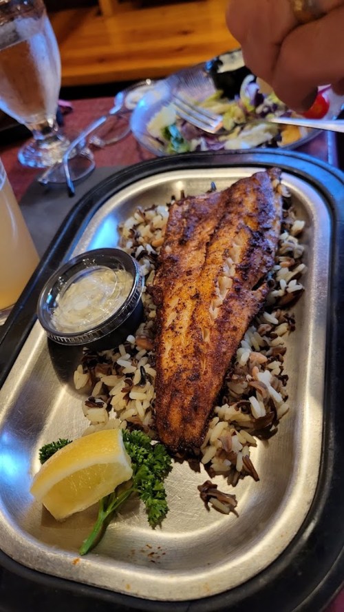 Grilled fish fillet on a bed of wild rice, garnished with lemon and parsley, served with a side of sauce.