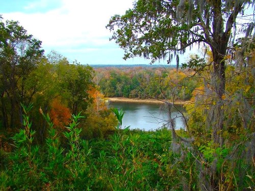 A serene river view surrounded by lush greenery and autumn-colored trees under a cloudy sky.