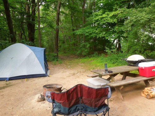 A campsite with a blue tent, picnic table, cooler, and a fire pit surrounded by lush green trees.