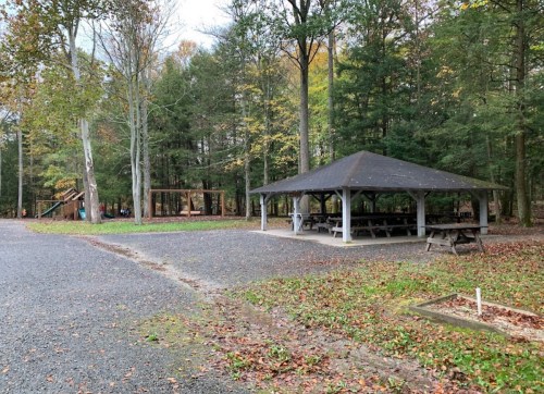 A picnic shelter surrounded by trees, with a playground in the background and fallen leaves on the ground.