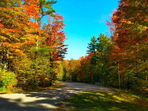 A scenic road surrounded by vibrant autumn trees in shades of red, orange, and yellow under a clear blue sky.
