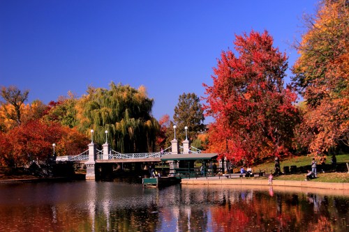 A serene park scene with vibrant autumn foliage, a bridge over a calm pond, and people enjoying the outdoors.