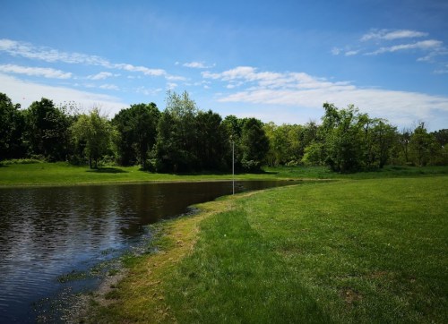 A serene landscape featuring a calm pond surrounded by lush green grass and trees under a clear blue sky.