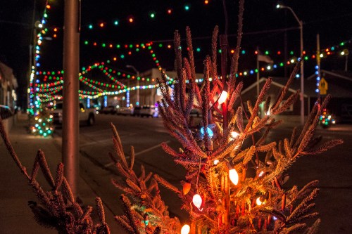 A festive street scene with colorful holiday lights strung above and a decorated tree in the foreground.